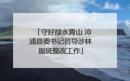 守好绿水青山 漳浦县委书记督导涉林图斑整改工作