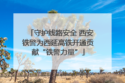 守护线路安全 西安铁警为西延高铁开通贡献“铁警力量”