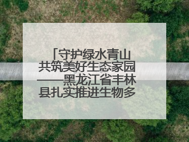 守护绿水青山 共筑美好生态家园——黑龙江省丰林县扎实推进生物多样性保护工作
