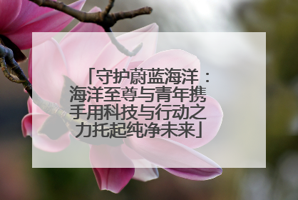 守护蔚蓝海洋：海洋至尊与青年携手用科技与行动之力托起纯净未来