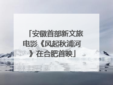 安徽首部新文旅电影《风起秋浦河》在合肥首映