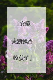 安徽：麦浪飘香收获忙
