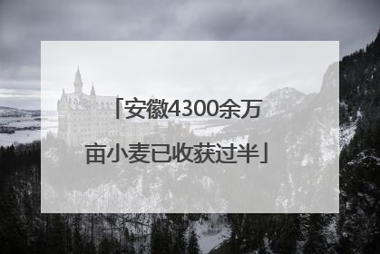 安徽4300余万亩小麦已收获过半