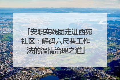 安职实践团走进西苑社区：解码六尺巷工作法的温情治理之道