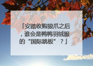 安踏收购狼爪之后，谁会是鸭鸭羽绒服的“国际跳板”？