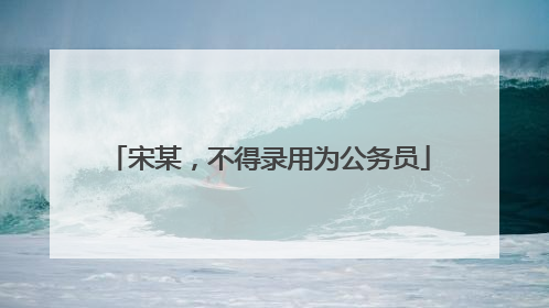 宋某，不得录用为公务员
