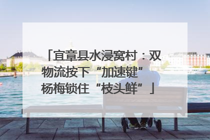 宜章县水浸窝村：双物流按下“加速键” 杨梅锁住“枝头鲜”