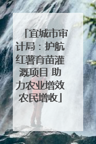 宜城市审计局：护航红薯育苗灌溉项目 助力农业增效农民增收