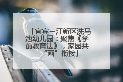 宜宾三江新区洗马池幼儿园：聚焦《学前教育法》，家园共“画”衔接