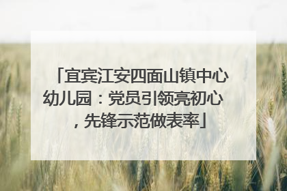宜宾江安四面山镇中心幼儿园：党员引领亮初心，先锋示范做表率