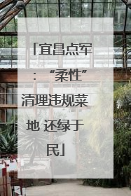宜昌点军：“柔性”清理违规菜地 还绿于民