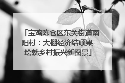 宝鸡陈仓区东关街道南阳村：大棚经济结硕果 绘就乡村振兴新图景