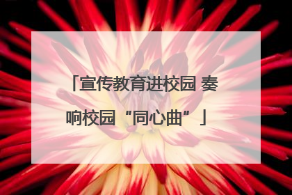 宣传教育进校园 奏响校园“同心曲”