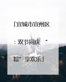 宣城市宣州区：双节同庆 “粽”享欢乐