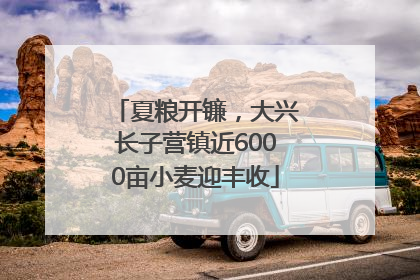 夏粮开镰，大兴长子营镇近6000亩小麦迎丰收