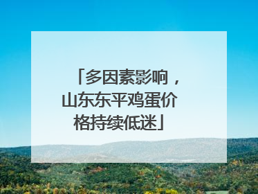 多因素影响，山东东平鸡蛋价格持续低迷