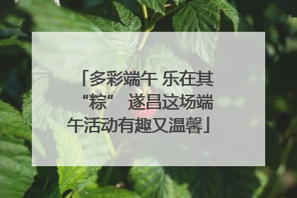 多彩端午 乐在其“粽” 遂昌这场端午活动有趣又温馨