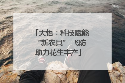 大悟：科技赋能“新农具” 飞防助力花生丰产