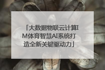 大数据物联云计算IM体育智慧AI系统打造全新关键驱动力