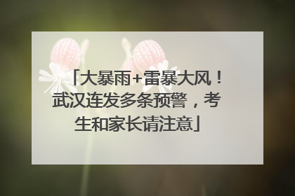 大暴雨+雷暴大风！武汉连发多条预警，考生和家长请注意