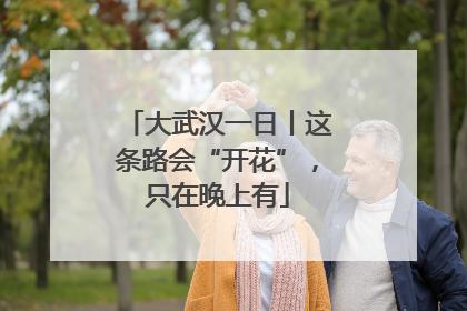 大武汉一日丨这条路会“开花”，只在晚上有