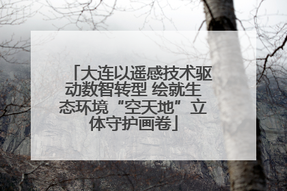 大连以遥感技术驱动数智转型 绘就生态环境“空天地”立体守护画卷