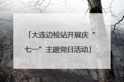 大连边检站开展庆“七一”主题党日活动