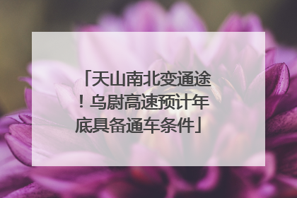 天山南北变通途！乌尉高速预计年底具备通车条件