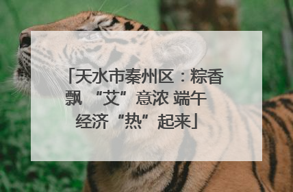 天水市秦州区：粽香飘 “艾”意浓 端午经济“热”起来