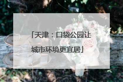 天津：口袋公园让城市环境更宜居