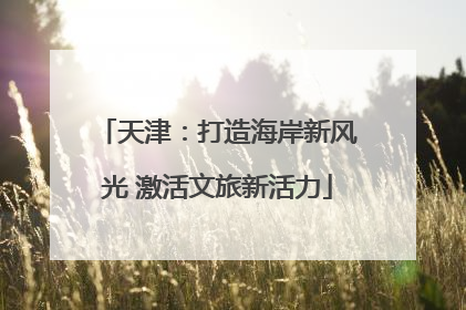 天津：打造海岸新风光 激活文旅新活力