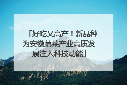 好吃又高产！新品种为安徽蔬菜产业高质发展注入科技动能