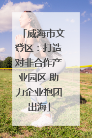 威海市文登区：打造对非合作产业园区 助力企业抱团出海