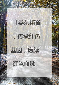 娄东街道：传承红色基因，赓续红色血脉