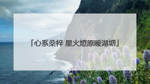 心系桑梓 星火燎原暖湖塘