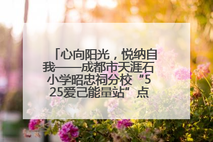 心向阳光，悦纳自我——成都市天涯石小学昭忠祠分校“525爱己能量站”点亮孩子心灵之旅