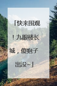 快来围观！九眼楼长城，傻狍子出没~