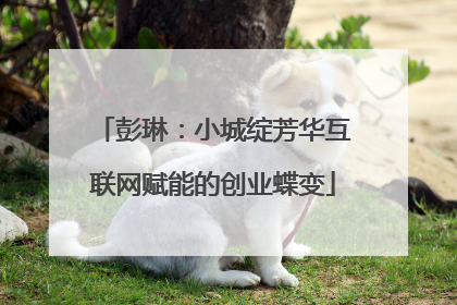 彭琳：小城绽芳华互联网赋能的创业蝶变
