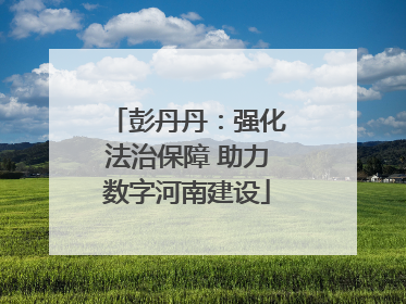 彭丹丹：强化法治保障 助力数字河南建设