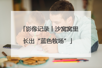 影像记录丨沙窝窝里长出“蓝色牧场”