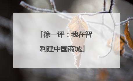 徐一评：我在智利建中国商城