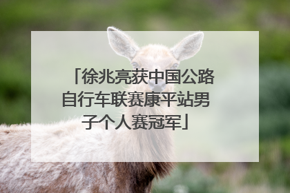 徐兆亮获中国公路自行车联赛康平站男子个人赛冠军