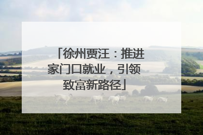 徐州贾汪：推进家门口就业，引领致富新路径