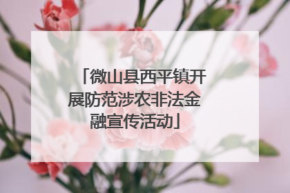 微山县西平镇开展防范涉农非法金融宣传活动