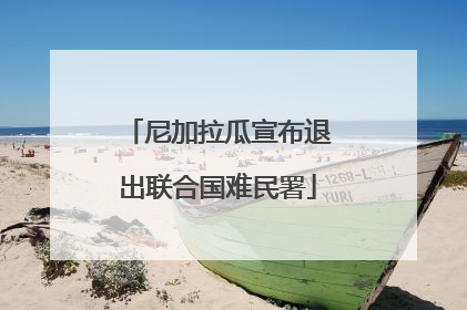 尼加拉瓜宣布退出联合国难民署