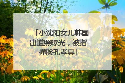 小沈阳女儿韩国出道照曝光，被指撞脸孔孝真