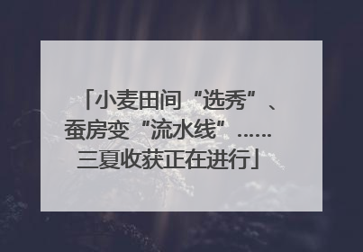 小麦田间“选秀”、蚕房变“流水线”……三夏收获正在进行