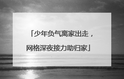 少年负气离家出走，网格深夜接力助归家