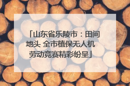 山东省乐陵市：田间地头 全市植保无人机劳动竞赛精彩纷呈