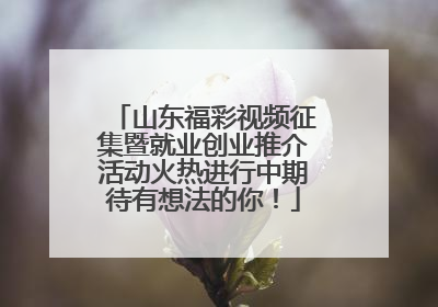 山东福彩视频征集暨就业创业推介活动火热进行中期待有想法的你！